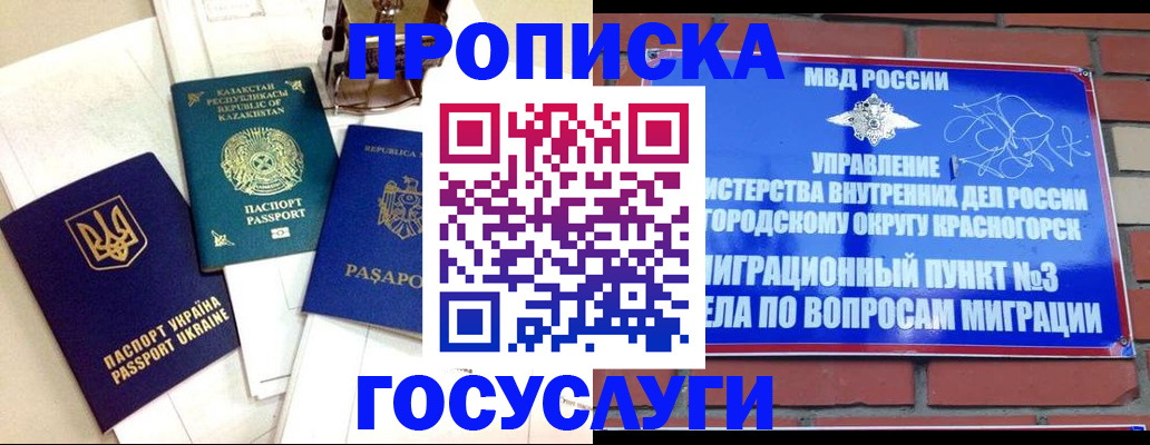 купить прописку в Павловске
